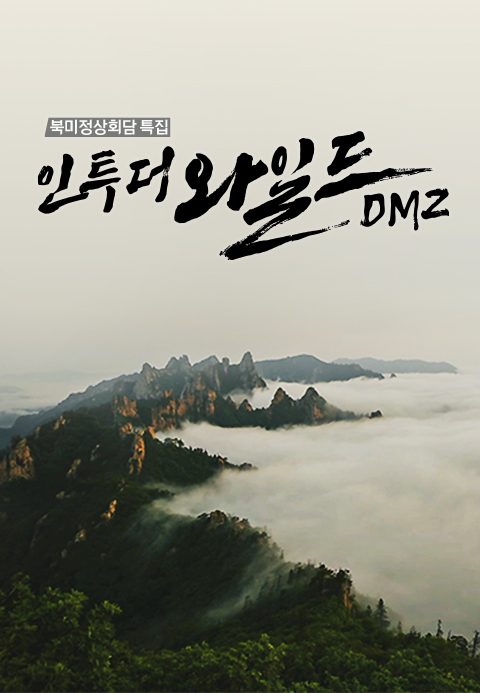 북미정상회담특집 인투더와일드 DMZ