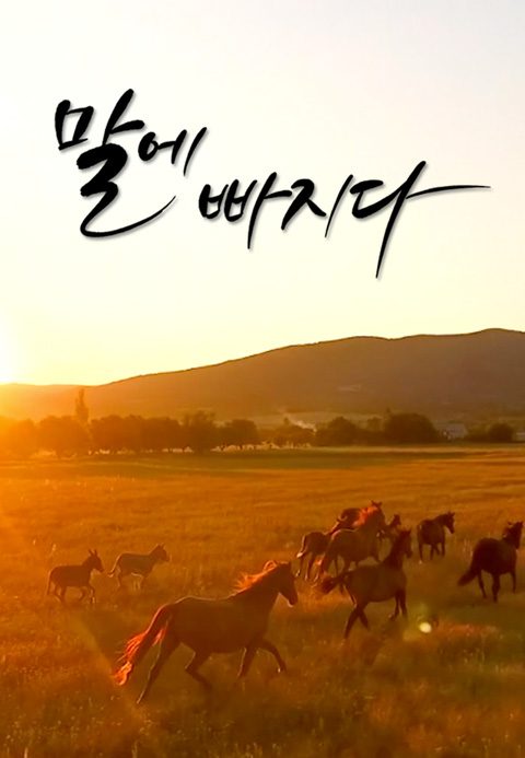 특집 다큐 - 말에 빠지다