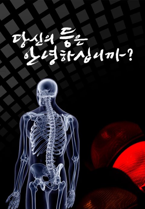 당신의 등은 안녕하십니까