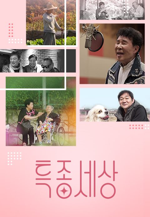 특종세상