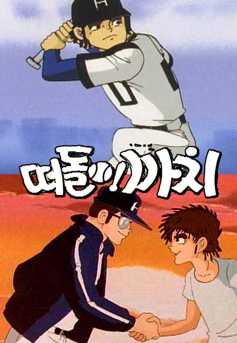 떠돌이 까치