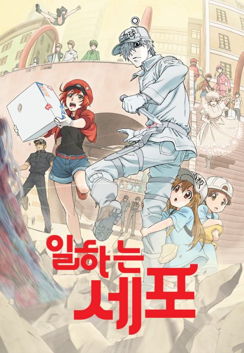 일하는 세포 (더빙)