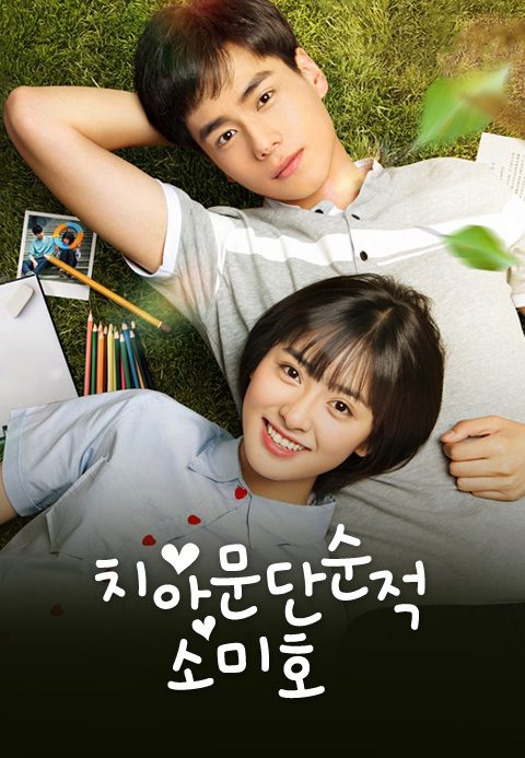치아문단순적소미호