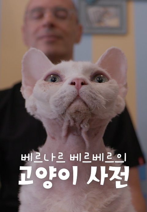베르나르 베르베르의 고양이 사전