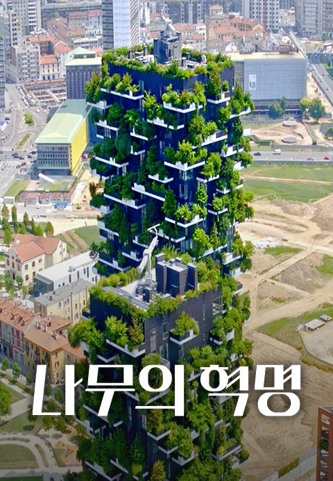 나무의 혁명