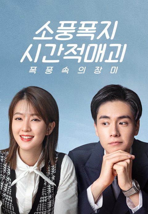 소풍폭지시간적매괴 : 폭풍 속의 장미