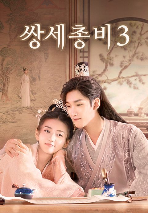 쌍세총비 3