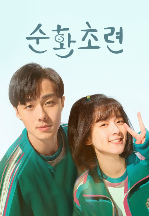 순환초련