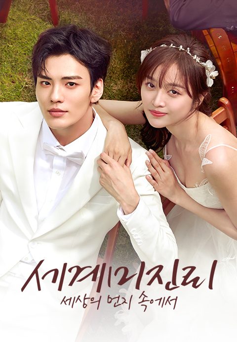 세계미진리 : 세상의 먼지 속에서