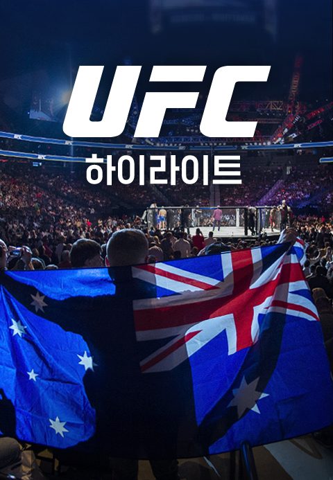 UFC 하이라이트