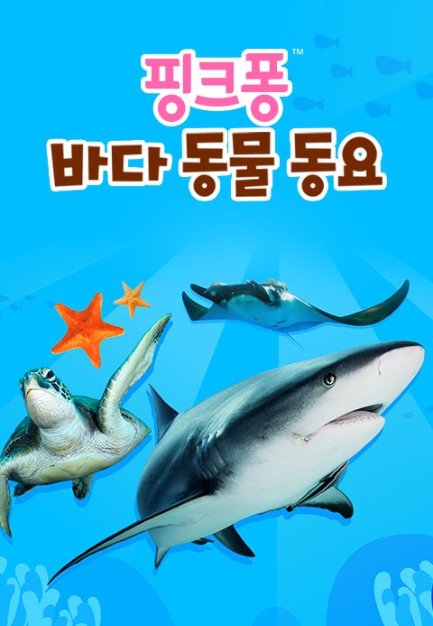 핑크퐁 바다 동물 동요