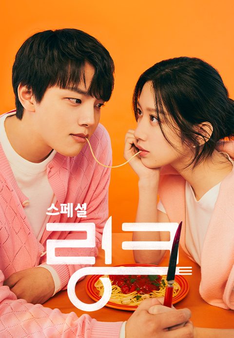 링크 스페셜