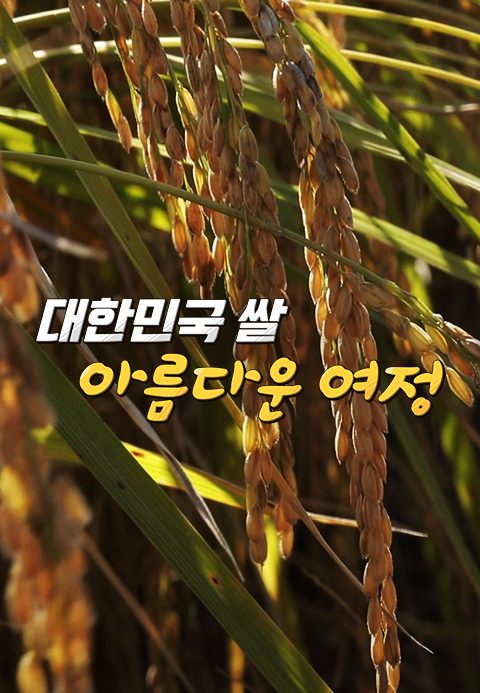 대한민국 쌀, 아름다운 여정