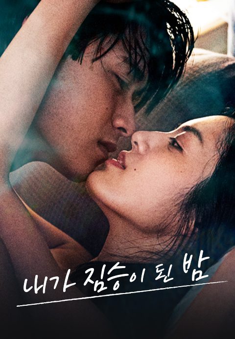 내가 짐승이 된 밤