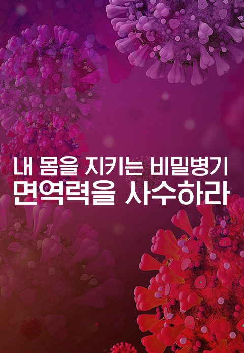 특별기획 내 몸을 지키는 비밀병기, 면역력을 사수하라