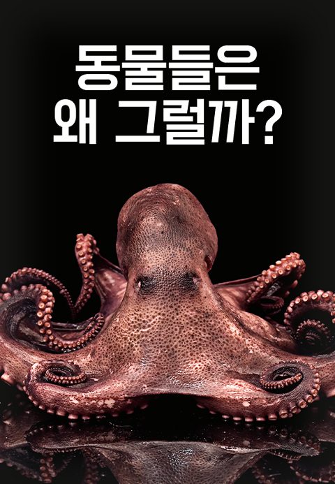 동물들은 왜 그럴까?