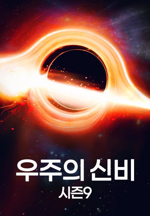 우주의 신비 시즌9