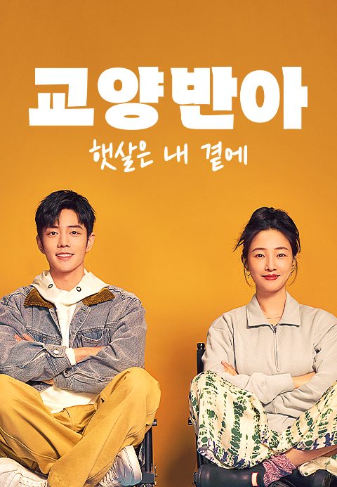 교양반아 : 햇살은 내 곁에