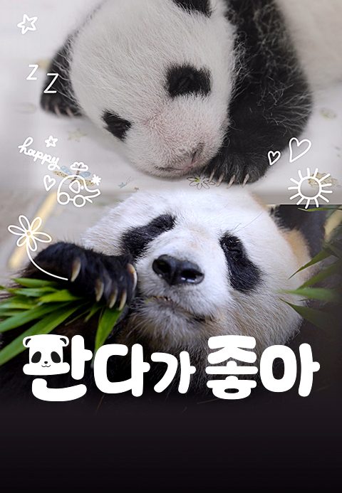 판다가 좋아