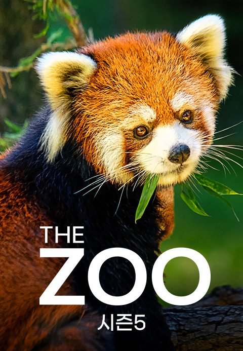 THE ZOO 시즌5