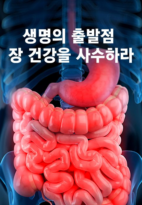 특별기획 생명의 출발점, 장건강을 사수하라
