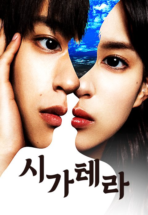 시가테라