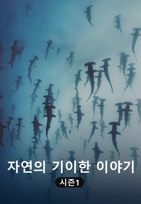 자연의 기이한 이야기