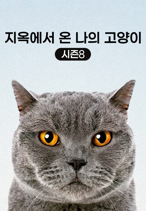 지옥에서 온 나의 고양이 시즌8