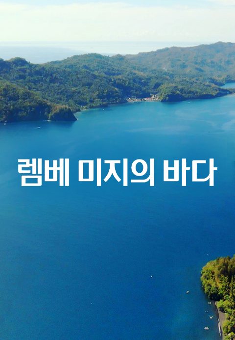 렘베 : 미지의 바다