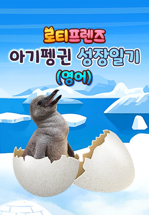 로티프렌즈 아기펭귄 성장일기 (영어)