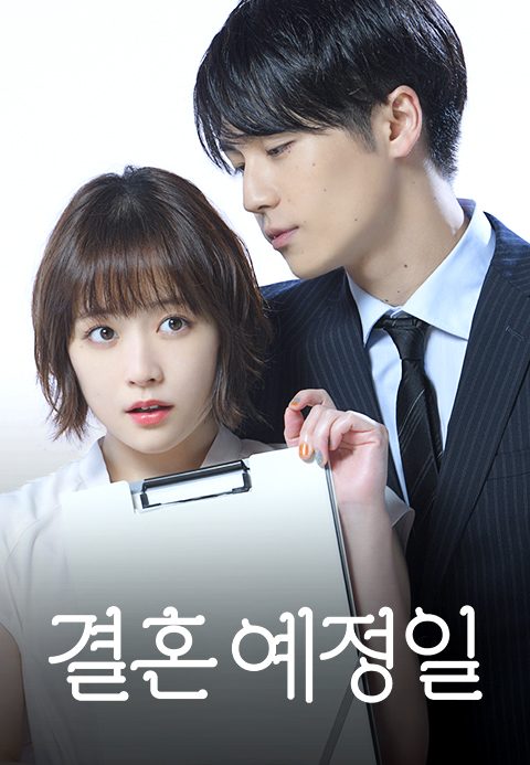 결혼 예정일