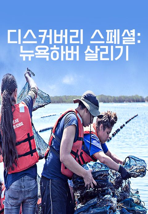 디스커버리 스페셜 : 뉴욕하버 살리기