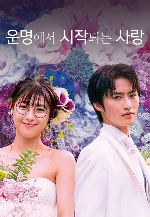 운명에서 시작되는 사랑 -You are my Destiny-