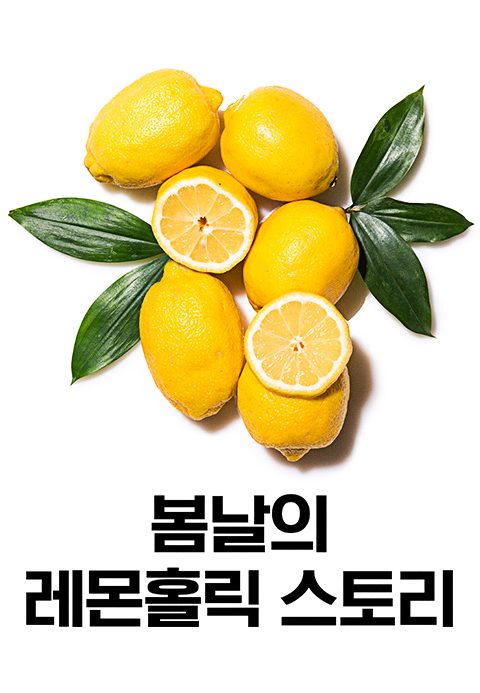 특별기획 봄날의 레몬홀릭 스토리