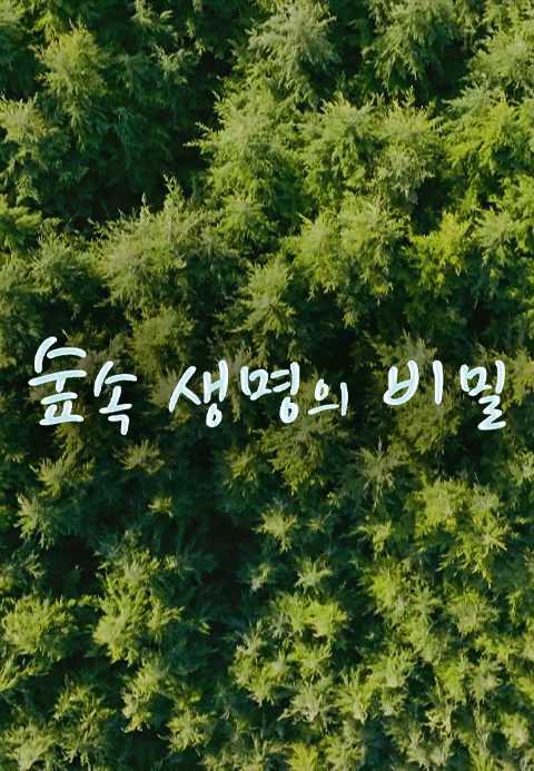 숲속 생명의 비밀