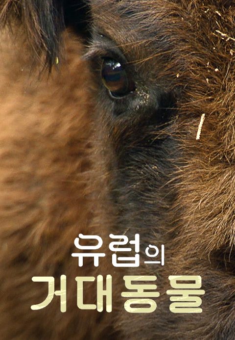 유럽의 거대동물