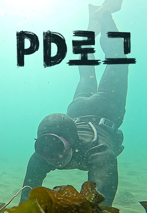 PD로그