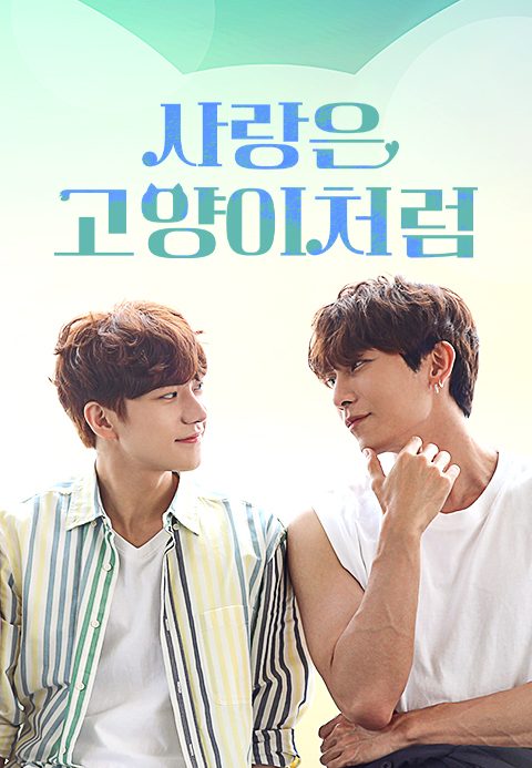 사랑은 고양이처럼