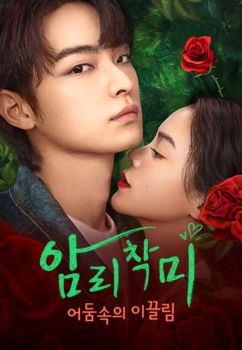 암리착미: 어둠 속의 이끌림