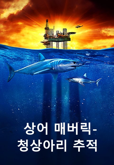상어 매버릭-청상아리 추적