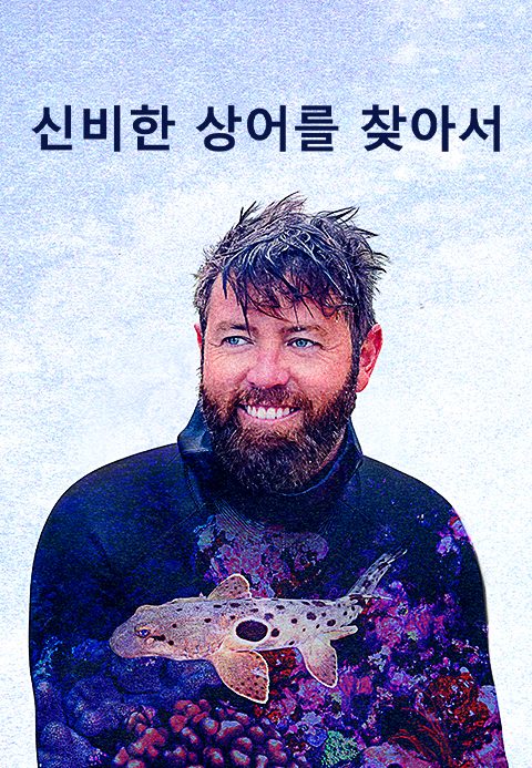 신비한 상어를 찾아서