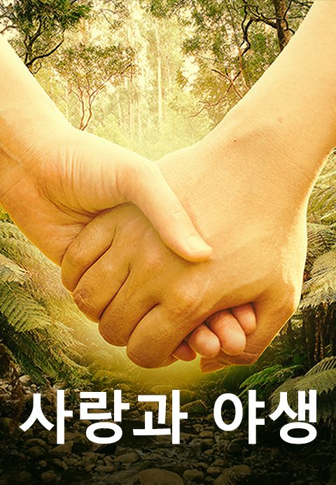사랑과 야생