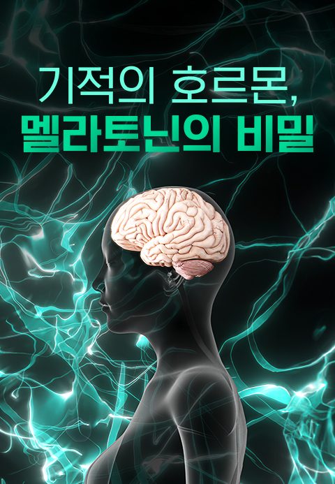 특별기획 기적의 호르몬, 멜라토닌의 비밀