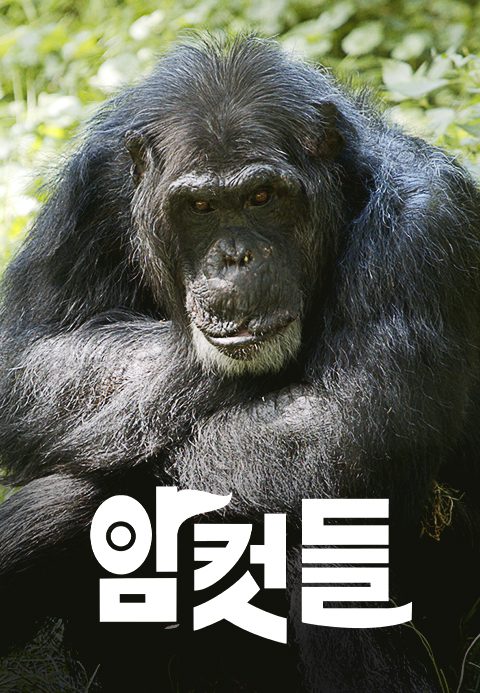 다큐프라임 - 암컷들
