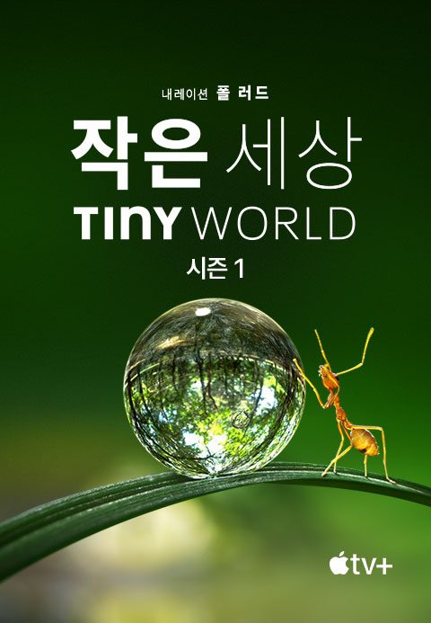 '작은 세상' - Tiny World 시즌1