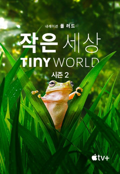'작은 세상' - Tiny World 시즌2
