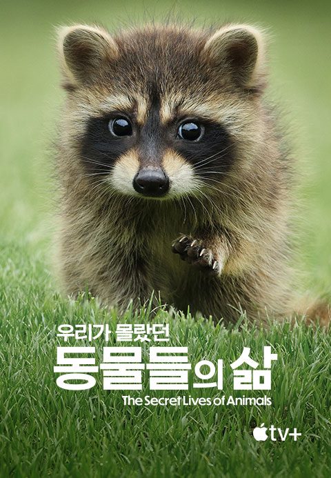 '우리가 몰랐던 동물들의 삶' - The Secret Lives of Animals 시즌1