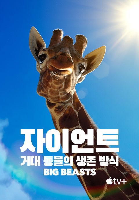 '자이언트: 거대 동물의 생존 방식’ - Big Beasts 시즌1