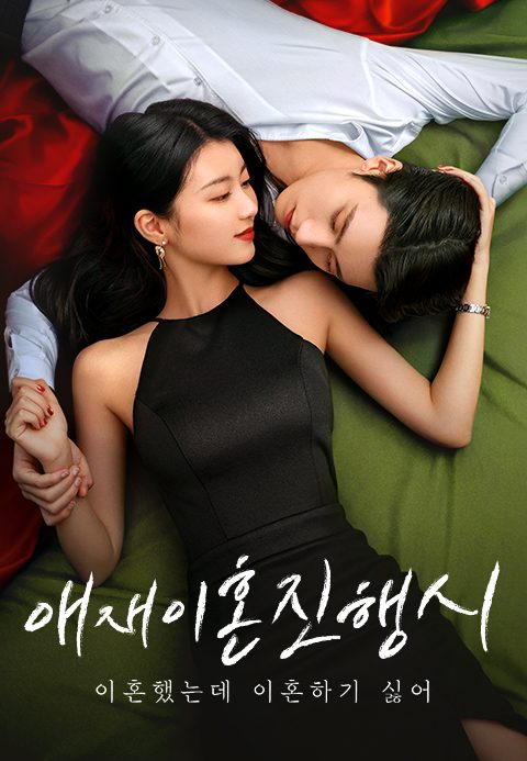 애재이혼진행시 : 이혼했지만 이혼하기 싫어