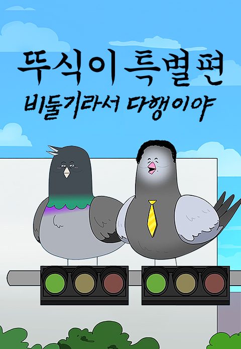 뚜식이 특별편: 비둘기라서 다행이야